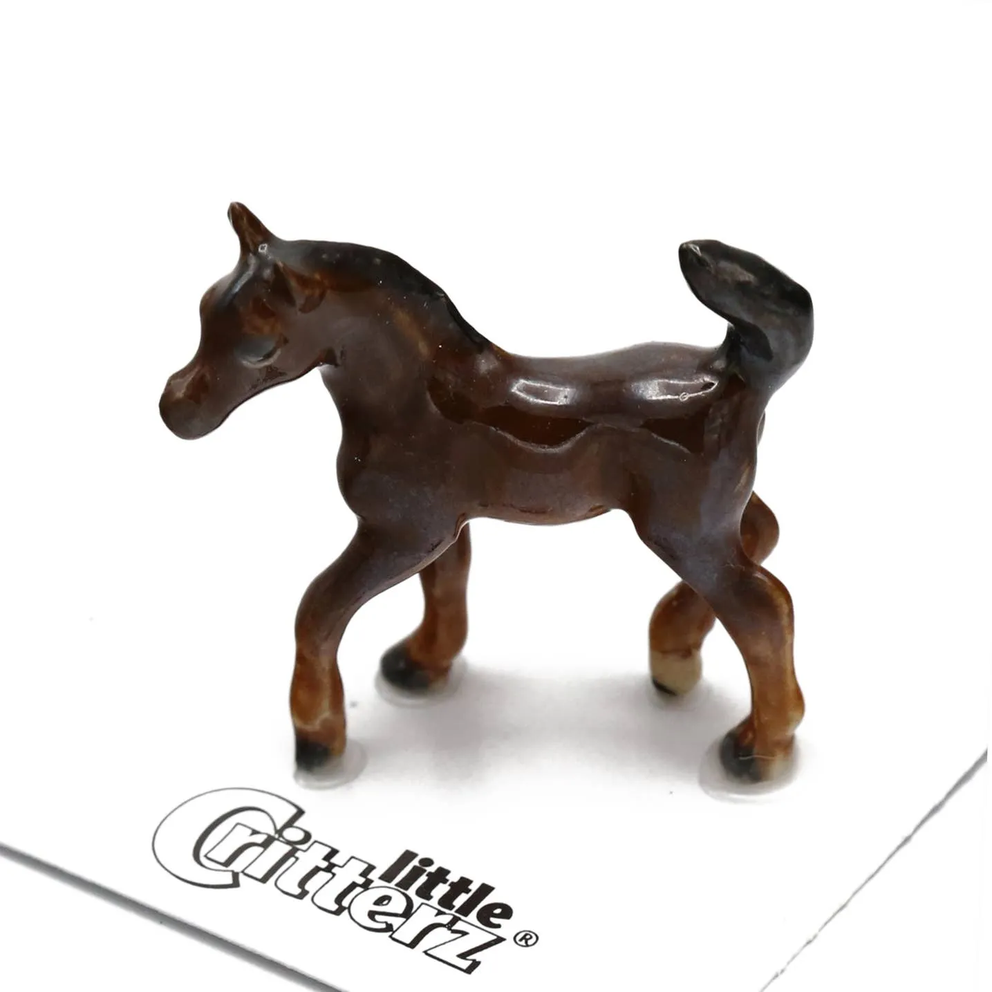 Asil Arabian Colt Porcelain Miniature
