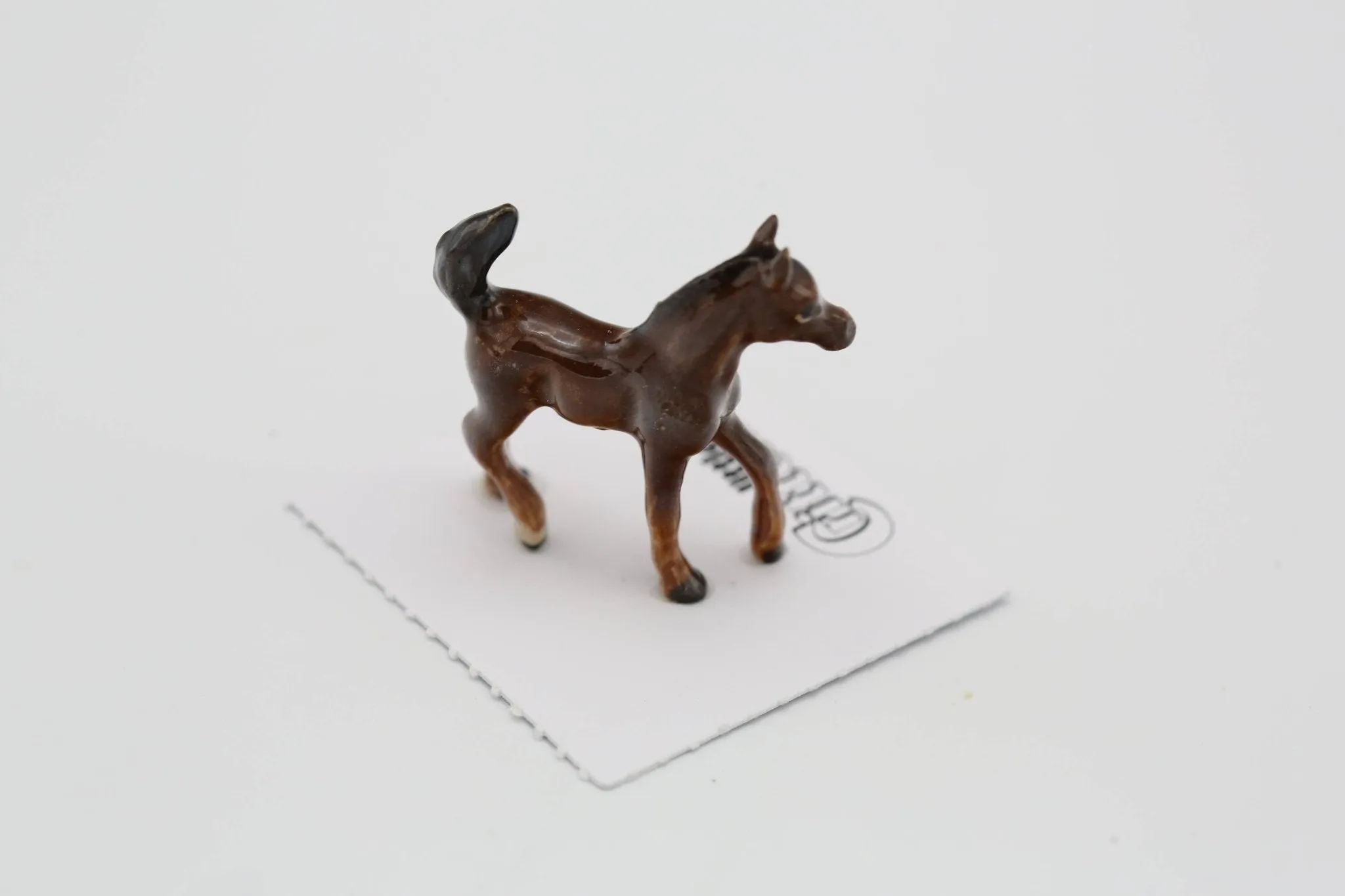 Asil Arabian Colt Porcelain Miniature