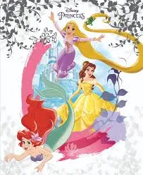 Disney Princess Slipcase