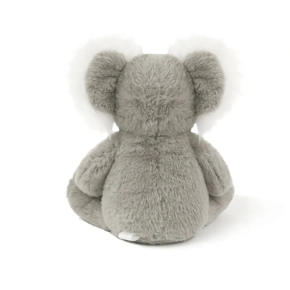 Little Kobi Koala