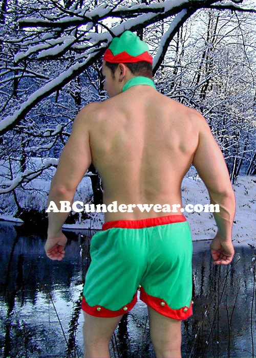 Man's Elf Costume, Sexy Holiday Wear for Men, Christmas Costume