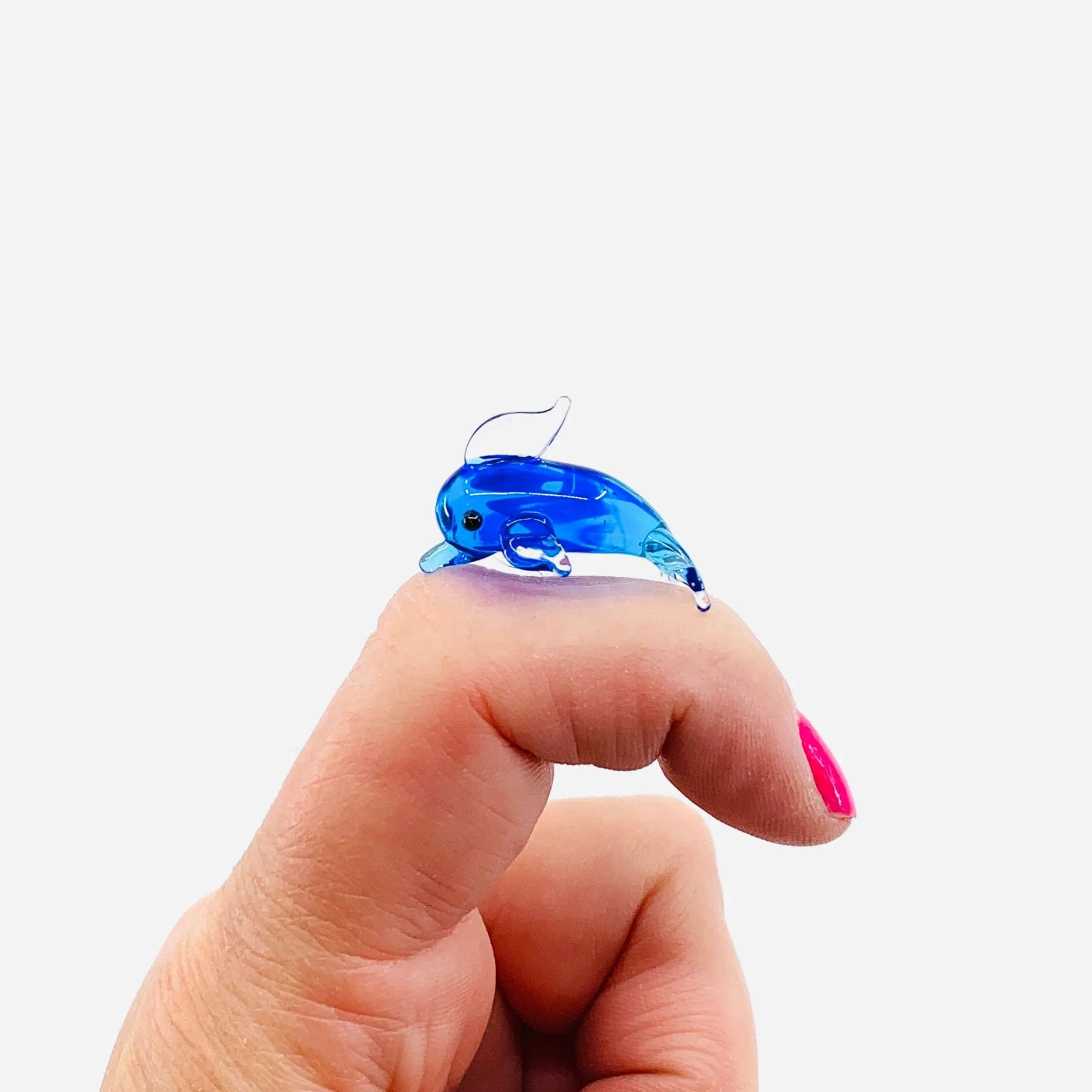Teeny Teensie Dolphin