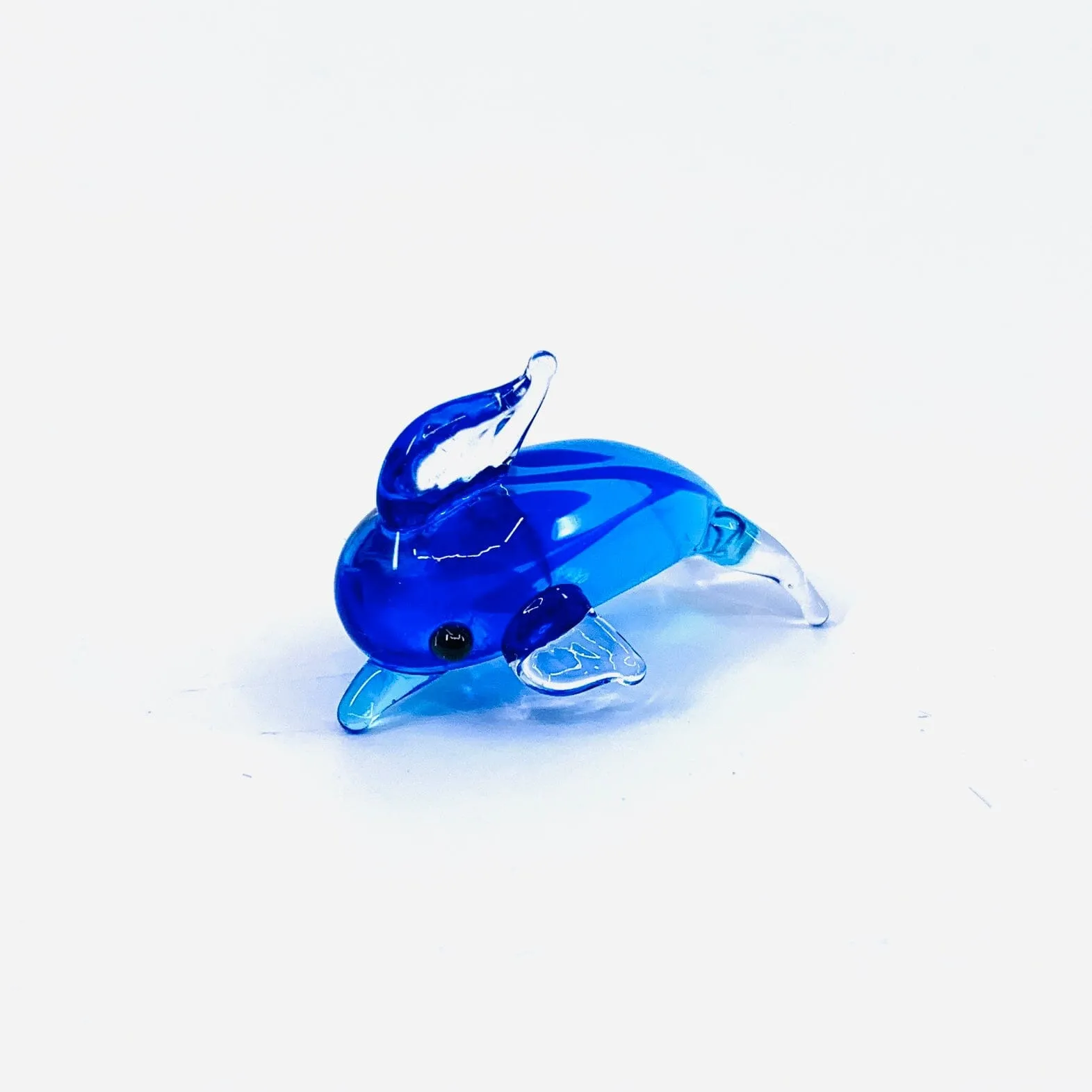Teeny Teensie Dolphin