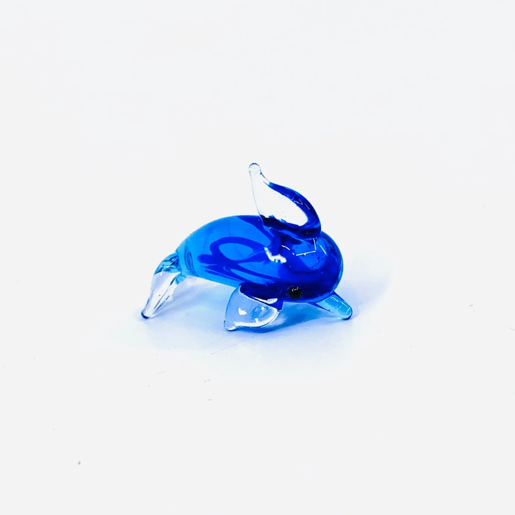 Teeny Teensie Dolphin