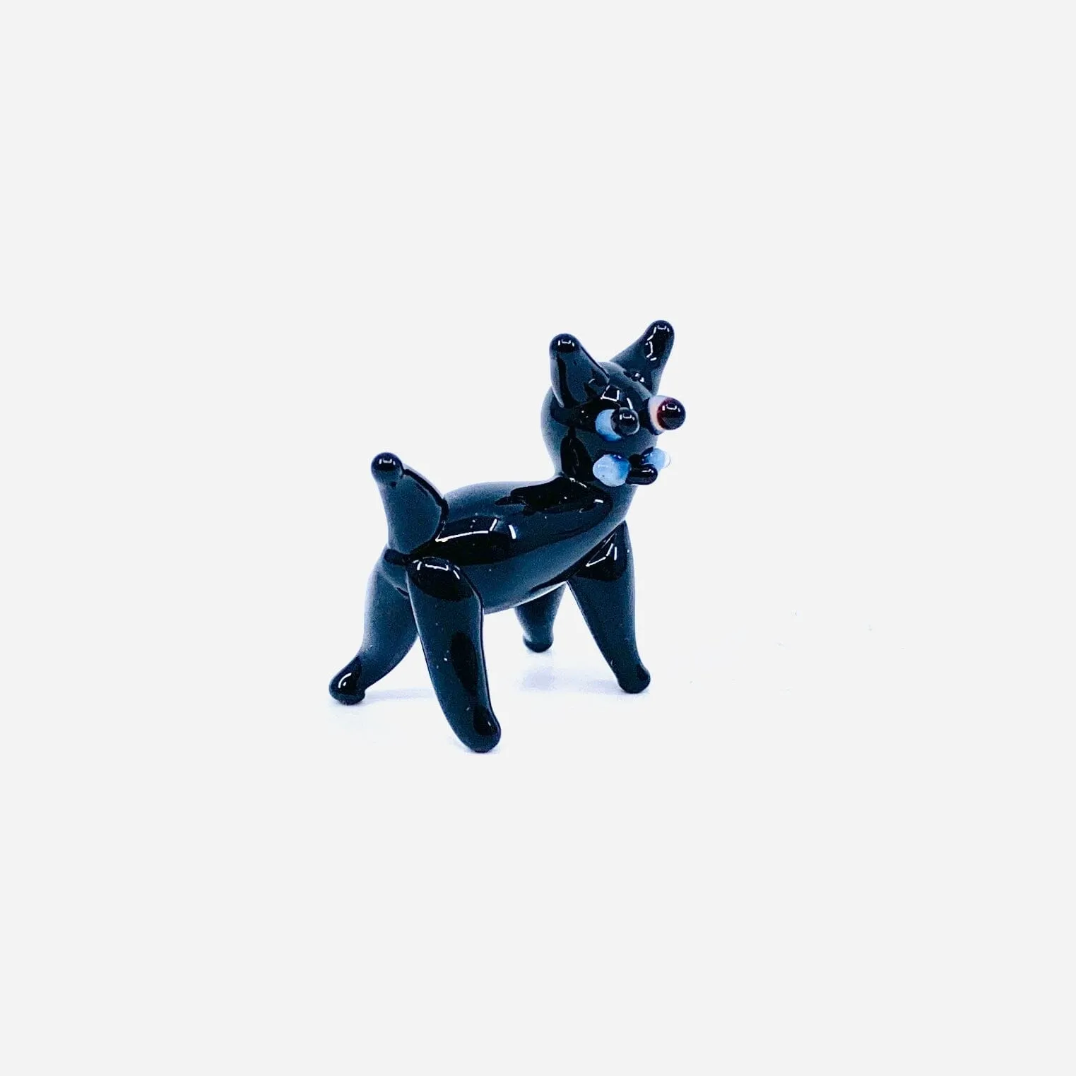 Teeny Teensie Kitten