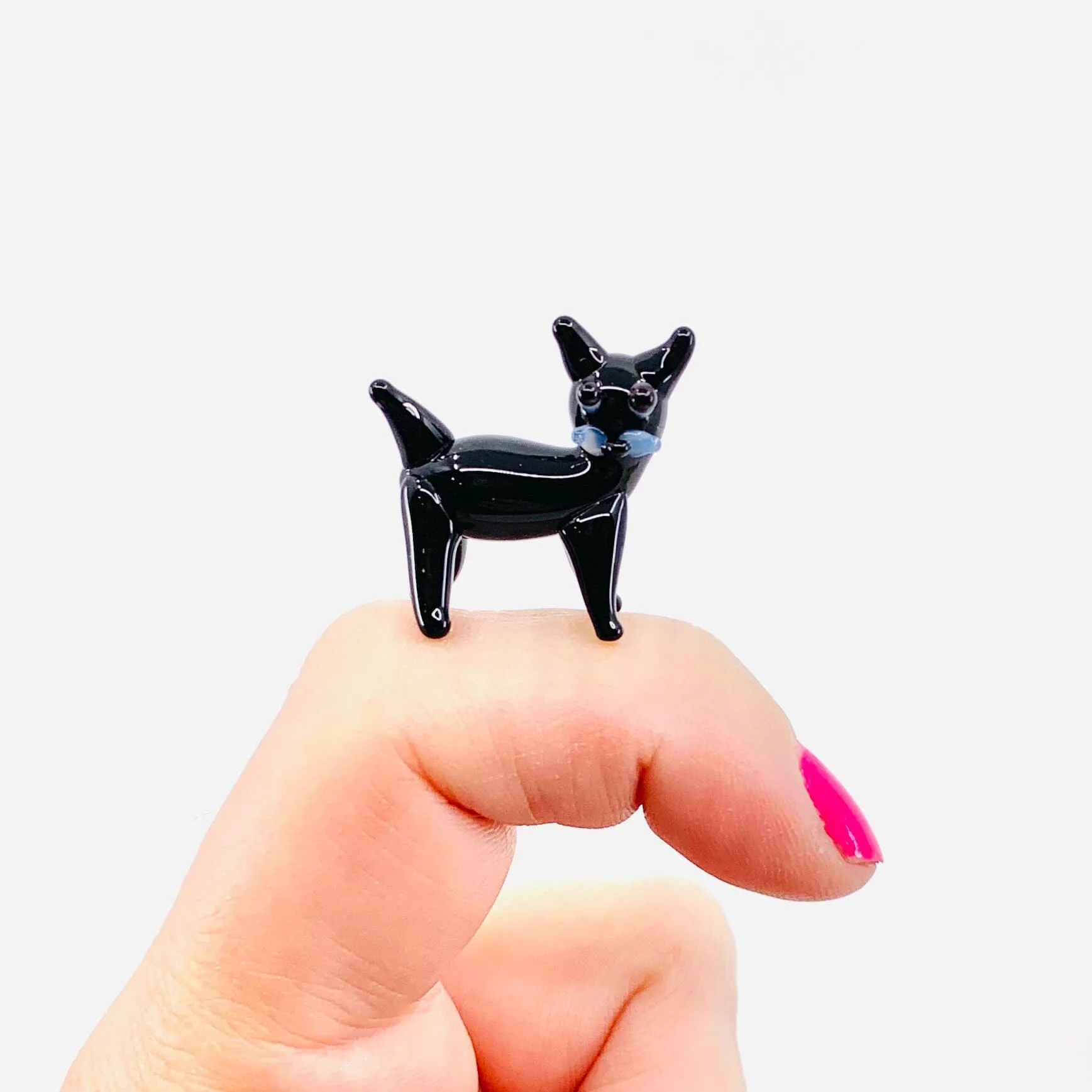Teeny Teensie Kitten