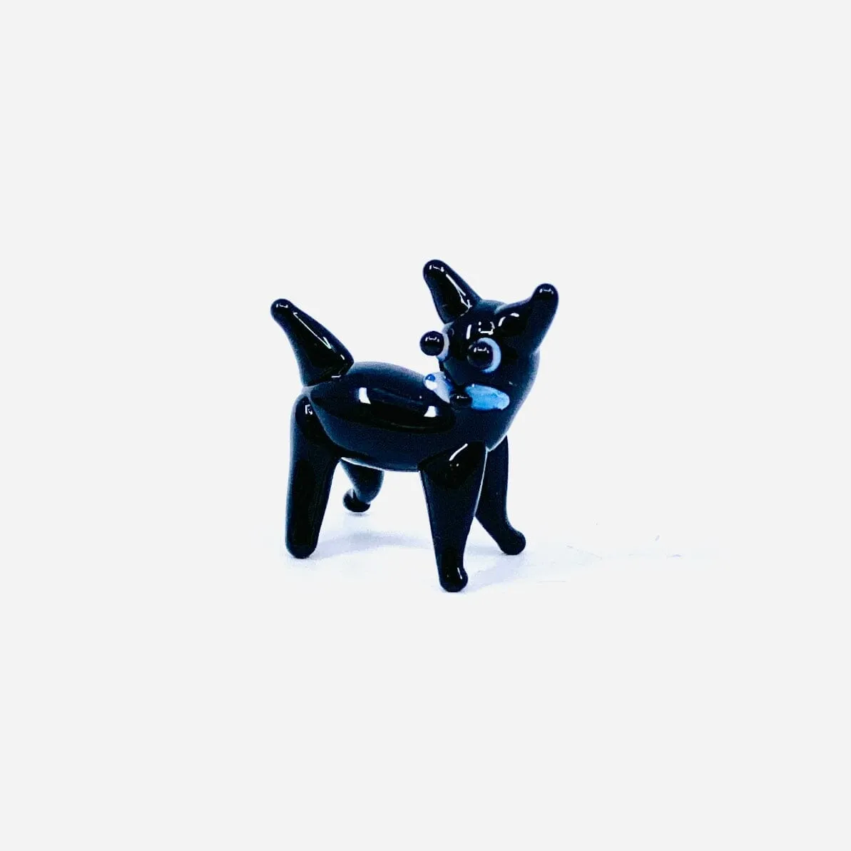 Teeny Teensie Kitten