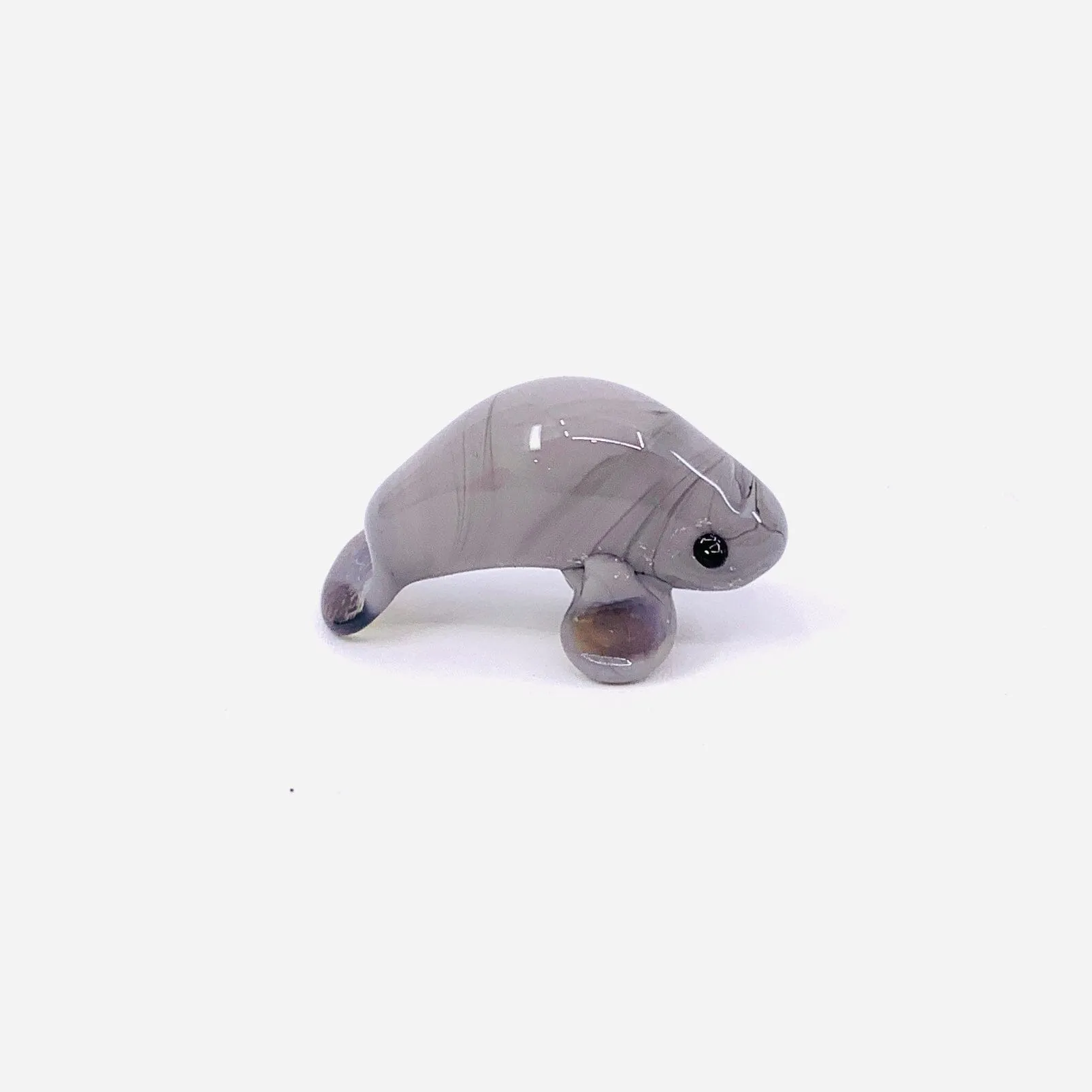 Teeny Teensie Manatee