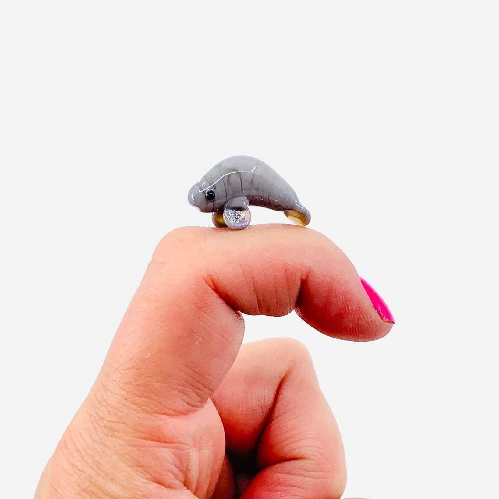 Teeny Teensie Manatee